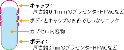 カプセルサイズ一覧画像