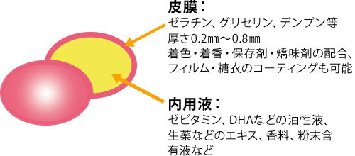 ソフトカプセル構造