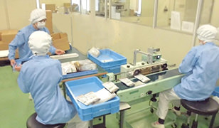 包装・セットアップ